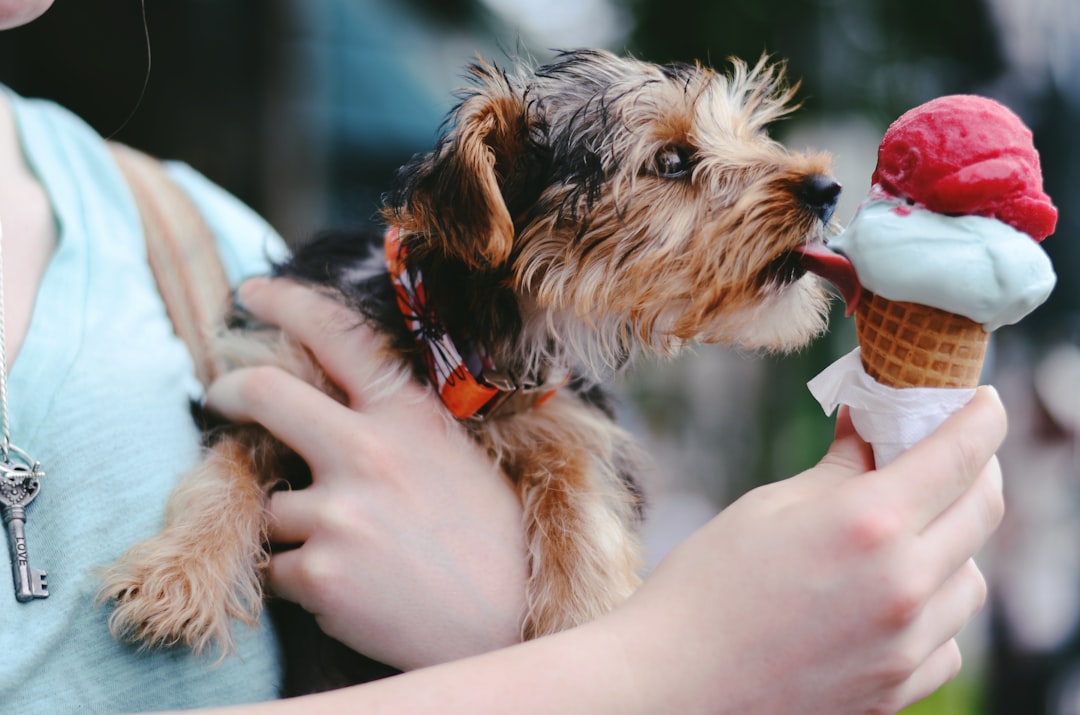 Cornetto: The Perfect Summer Treat